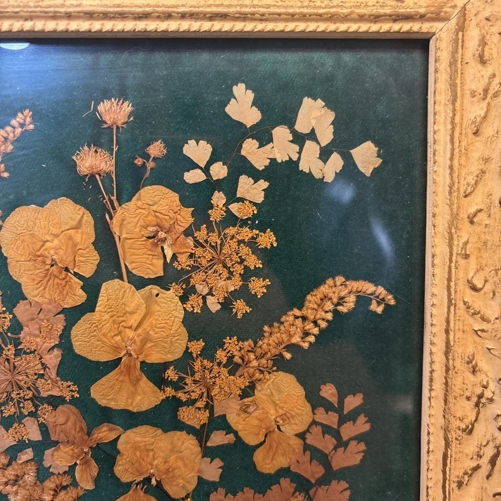 Vintage Framed Velvet Pressed Dried Flowers Wall Art Decor Original cottage Core